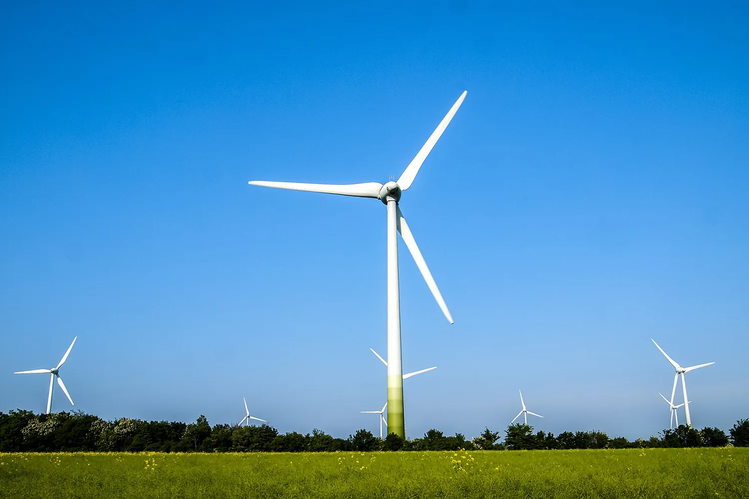Image of several wind turbines as a symbolic image for the co2 performance ladder.